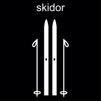 Skidor och stavar