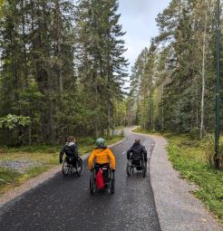 Man ser ryggtavlan på tre rullstolskörare som drar iväg längs med multibanan kantad av skog